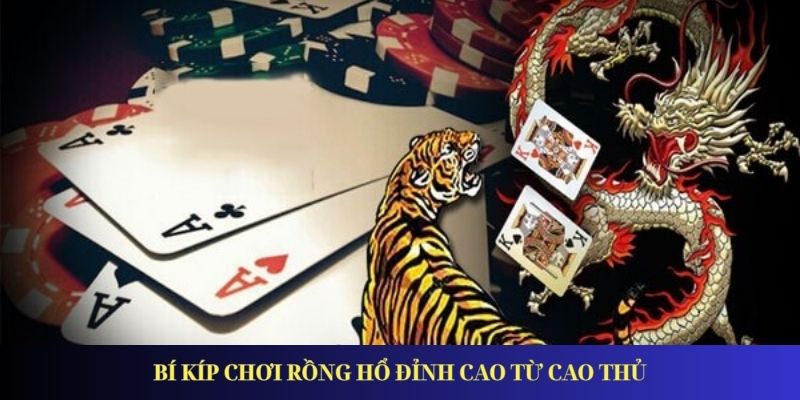 Bí kíp chơi rồng hổ đỉnh cao từ cao thủ