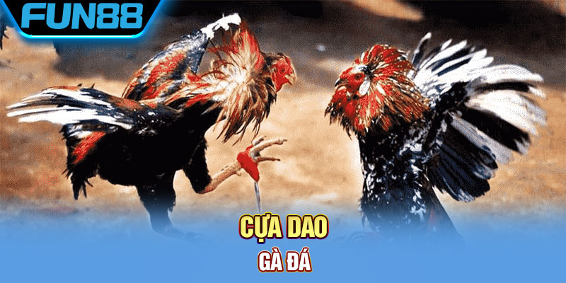 Cua Dao Ga Da