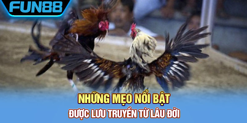 Những mẹo nổi bật được lưu truyền từ lâu đời