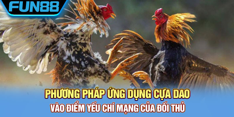 Phương pháp ứng dụng cựa dao vào điểm yếu chí mạng của đối thủ