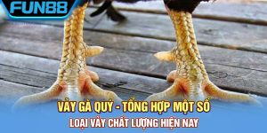 Vay Ga Quy Tong Hop Mot So Loai Vay Chat Luong Hien Nay