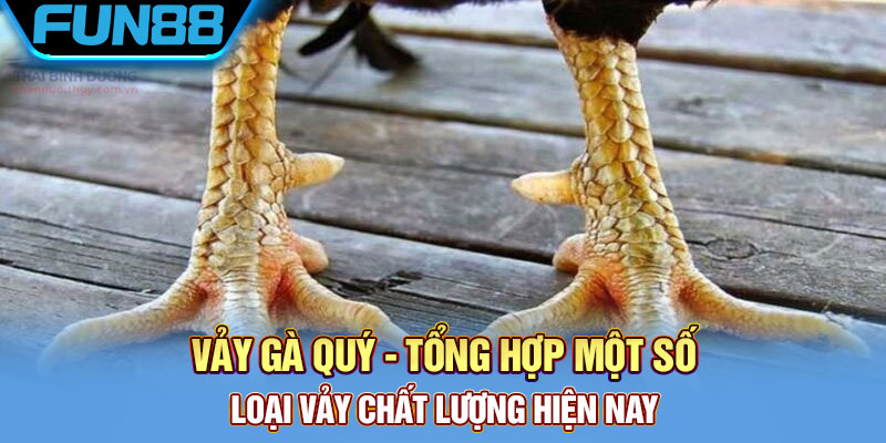Vảy Gà Quý - Tổng Hợp Một Số Loại Vảy Chất Lượng Hiện Nay Vay Ga Quy Tong Hop Mot So Loai Vay Chat Luong Hien Nay